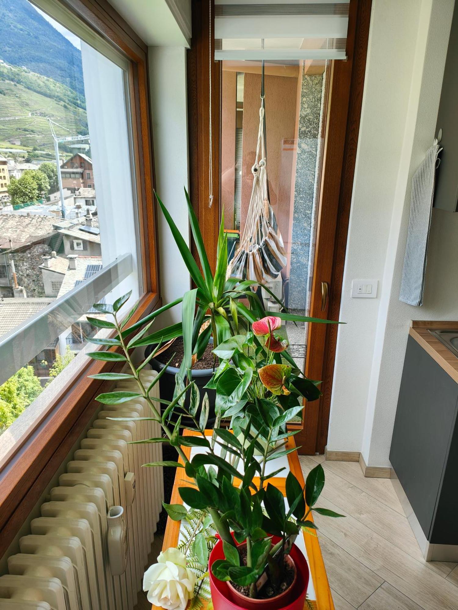 Alfiume B Apartment Tirano Bagian luar foto
